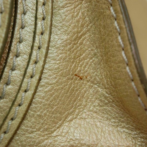 Auth Chloe Marcie Medium Shoulder Bag Leather Peal Gold - Picture 5 of 15